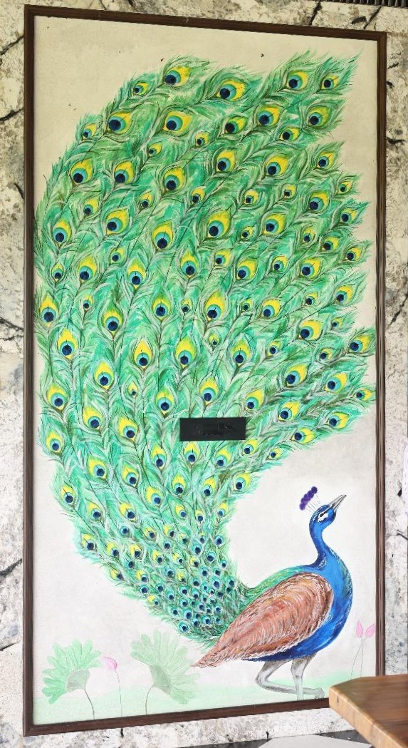 Peacock mural